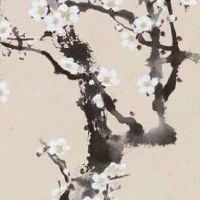 比较霸气的公司名称 独一无二的企业取名