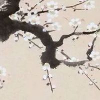 四个字好听到爆的公司名字 企业取名简洁大方