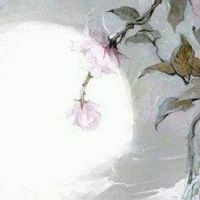 2022年金命还是水命 水虎命自尊心强