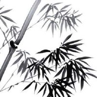 婚姻线尾端接触到感情线 婚姻线分叉代表离婚吗