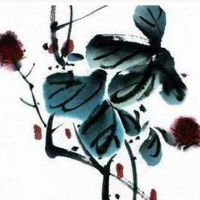 2022年金命女宝好还是男宝好 过林之虎运气好