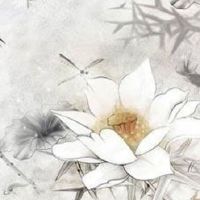 2022年金命还是土命 壬寅虎年婚姻美满