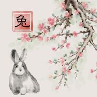 222萧兔穿着蓝色衣服?什么颜色是兔子?