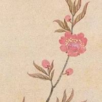 生活用品店铺名起什么 新店取名霸气有文采