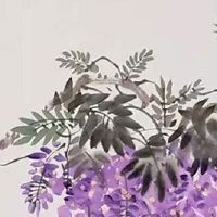 富婆命面相特征 天庭饱满属于富婆面相