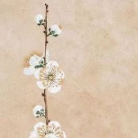 2022商贸公司起名大全 热门聚财企业取名大全