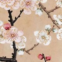 公司注册名称用什么好 免费起吉祥好听的企业名字