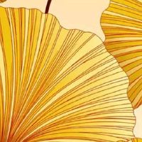 八字死绝必大贵 八字时柱有食神财运好