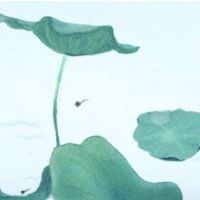 夏天到健康鲜花:智孚已解决的渴望选择黄瓜和茄子