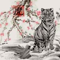 老虎中有九个生命,有什么不对的?