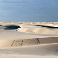 谁在出生的墙壁中非常好?这两墙是否住在一起?