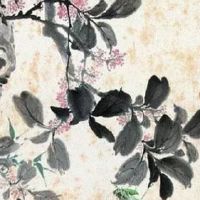 81年属鸡的女人财运好不好 有贵人帮忙旺财