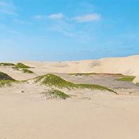 什么是行业?你有职业生涯吗?