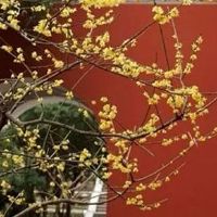 消防公司起名大全参考 企业取名洋气招财