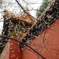 公司起名字参考大全免费 独具创意的企业取名