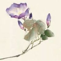 两条平行婚姻线的女人 长短不一平行婚姻线