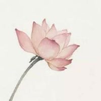 今日运势快报:2022年8月18日哪几个生肖为特吉生肖