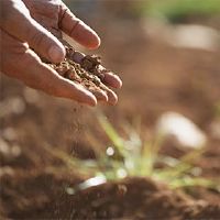 我应该选择什么样的发展方向?什么样的人是禁忌?