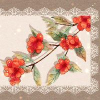 兔子名称的名称适用于名称的名称