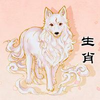 雌性狗和男性龙可以结婚吗?这不是正确吗?