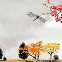 四两二女命几段婚姻 早年坎坷磨难多