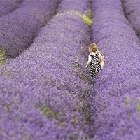 老虎男孩在儿童节中命运吗?