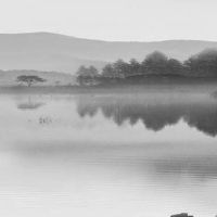 先苦后甜的女人面相 鼻梁高挺有肉