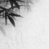 旺老公财运的女人面相 下巴丰隆且有双下巴