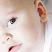 刘氏男孩鸡年起名大全