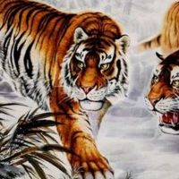 2022年你可以在今年2022年生日吗?