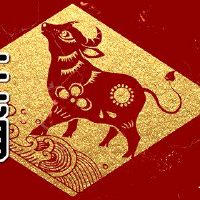 2月27日的牛市怎么样?