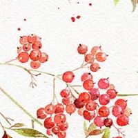 好运气顺利发财名字 公司起旺运顺口的名字