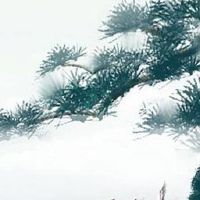 女人二婚手相怎么看 婚姻线断结的手相容易二婚