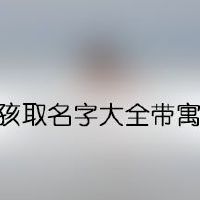 男孩取名字大全带寓意
