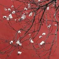 家居生活馆名字创意好听 旺生意的招财店铺起名