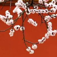 实体店童装店起名字 霸气吸睛的店铺起名大全