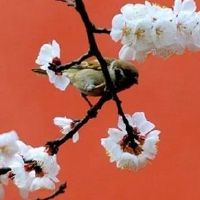 创意百货店名字大全 店铺起名好听独特