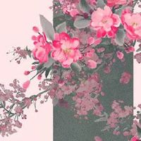 属虎的取公司名字吉祥大气 企业起名简约大气