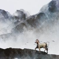 这匹马在2023年的年龄,年度诞生