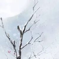 74年属虎的公司起名 旺运顺口的企业取名