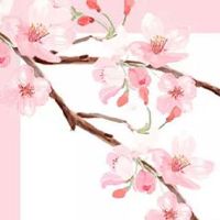 86年属虎的公司起名 霸气吸睛的企业取名大全