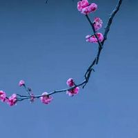 属虎取名宜用字大全免费 公司起名有创意有特色