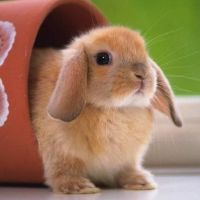 1999年在1999年的年龄多大了?