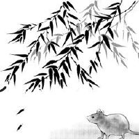 今年2022财年的变化是什么?