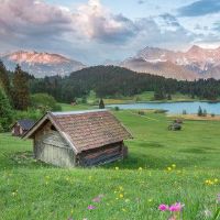 申申男男女八八八