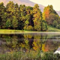 寅男男女女八八八