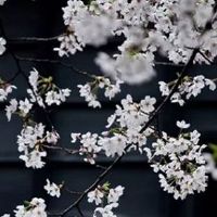 热门农村小商店取名 简约大气的店铺取名