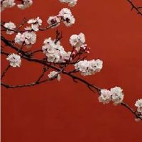 网店名字创意百货店名 店铺起名方法小秘籍