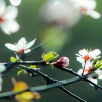 日用百货店怎么开 店铺取名有创意有文采