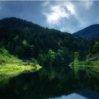 数学字符告诉您,您可以轻松推出